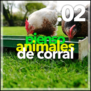 Pienso para animales de corral, gallinas, pollos, patos, conejos, cerdos, vacas y producciones ganaderas de granja.